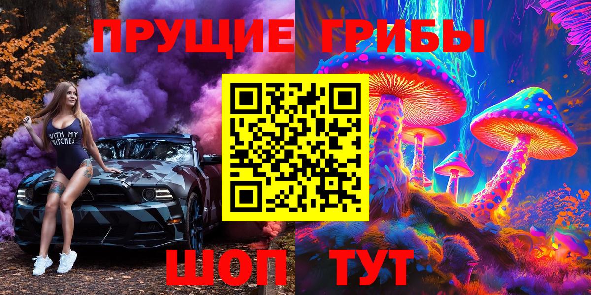 Чебоксары  Псилоцибиновые грибы Psilocybe  Вход с VPN 