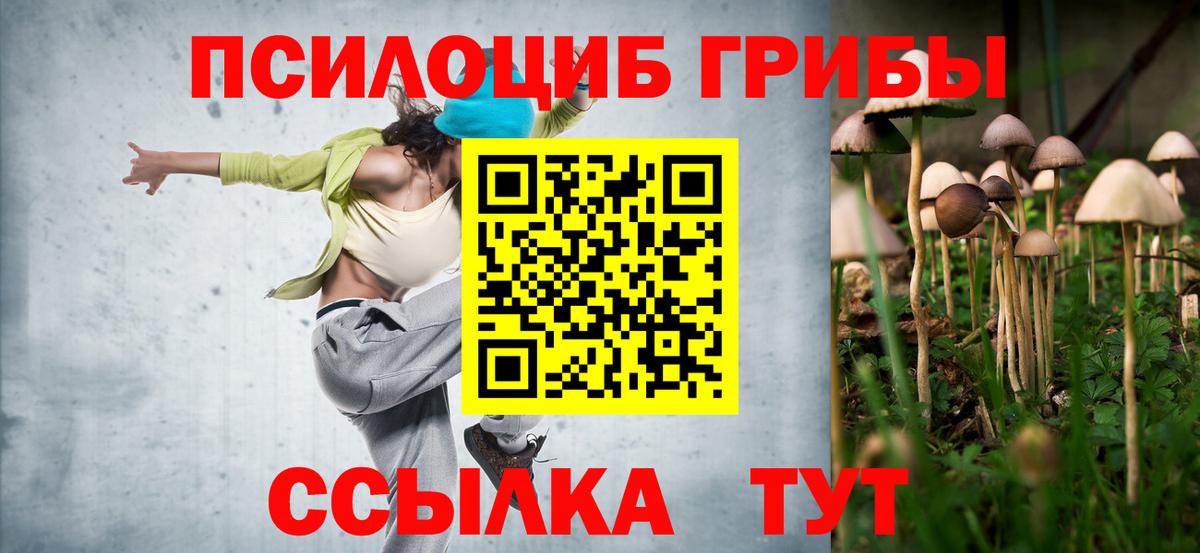 Псилоцибиновые грибы Psilocybine cubensis Чебоксары